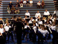flutes.jpg (352472 bytes)