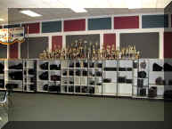 shelves2.jpg (86568 bytes)